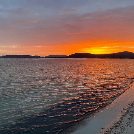 Zizì Appartamento Alghero