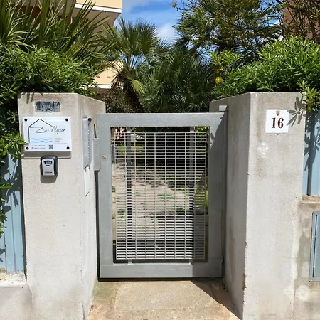 Zizi